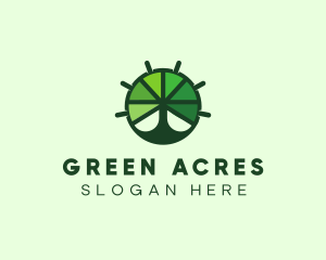 Green Steering Wheel Tree logo design