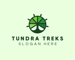 Green Steering Wheel Tree logo design