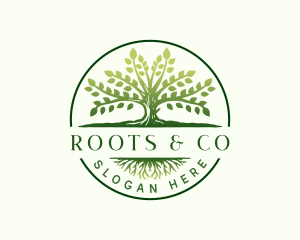 Elegant Tree Roots logo