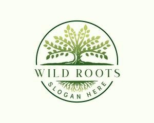 Elegant Tree Roots logo design