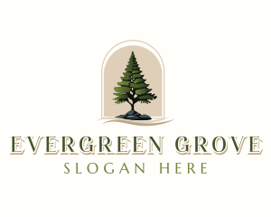 Pine Tree Forestry logo design