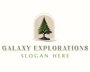 Pine Tree Forestry logo design