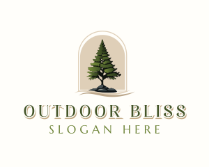 Pine Tree Forestry logo design