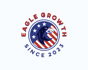 American Eagle Stars logo design