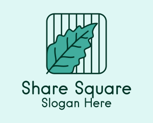 Green Leaf Square  logo design