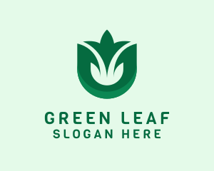 Natural Leaf Plant logo design