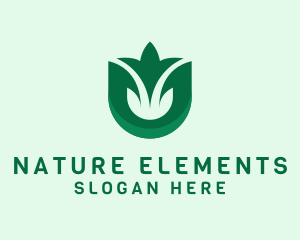 Natural Leaf Plant logo design