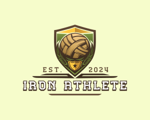 Sports Ball Shield  logo design