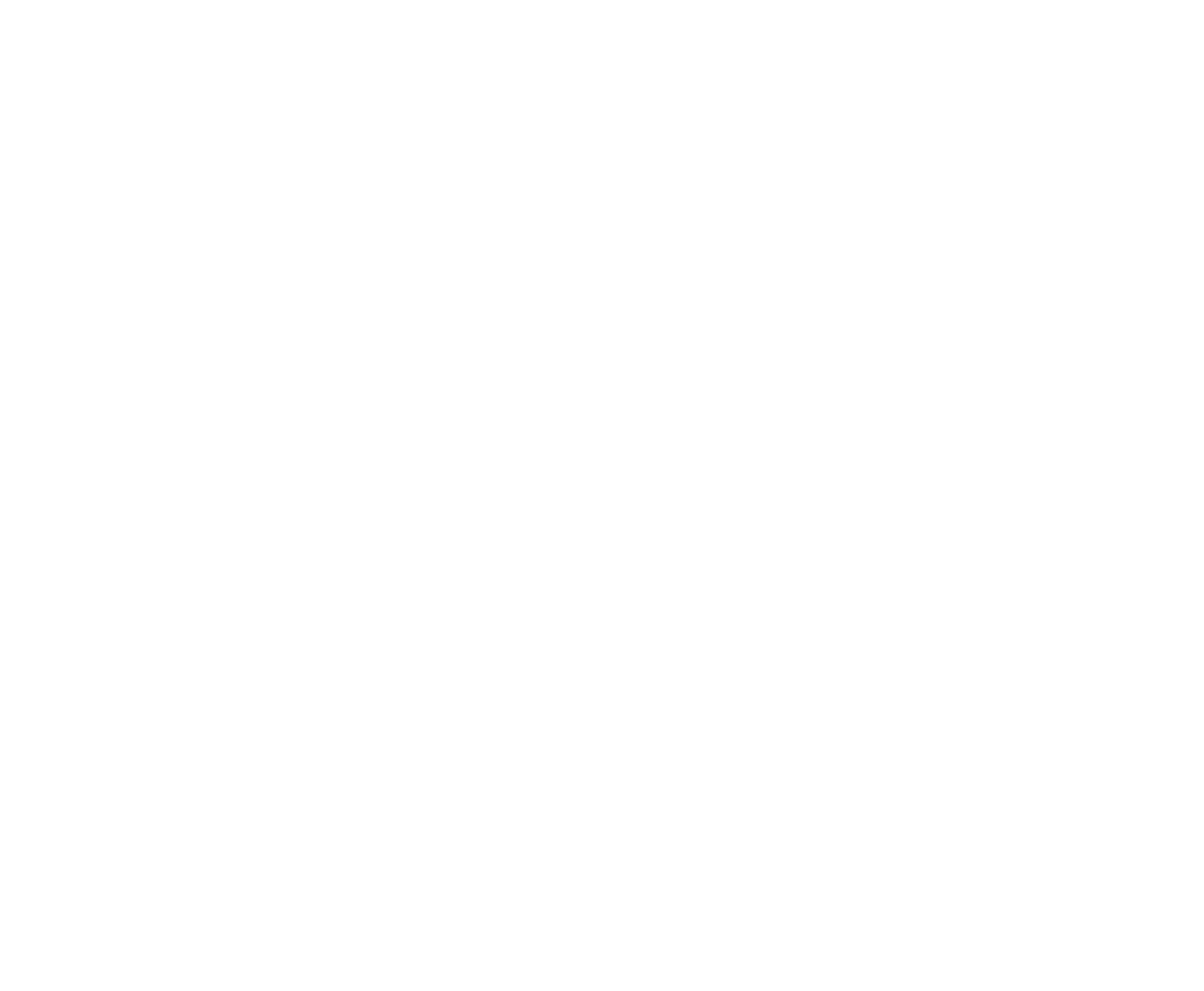 NeoPhoto's logo