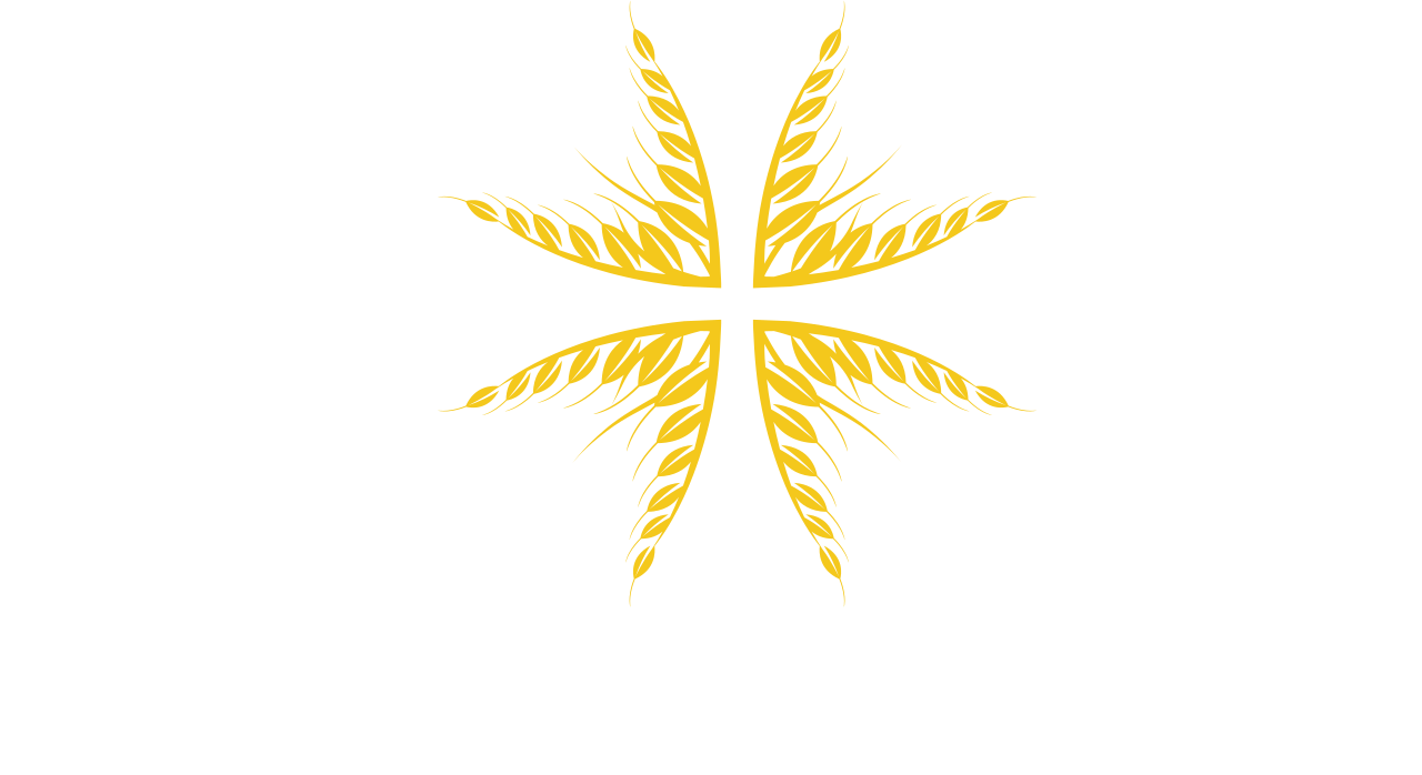 AGROMER GRAİN's logo