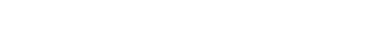 Secure transit LLC's logo