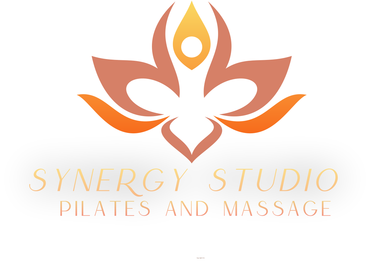 Synergy Studio 
's logo