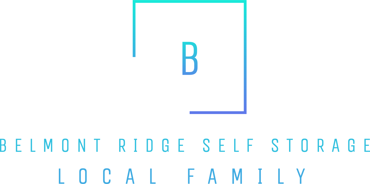 Belmont Ridge Self Storage 's logo