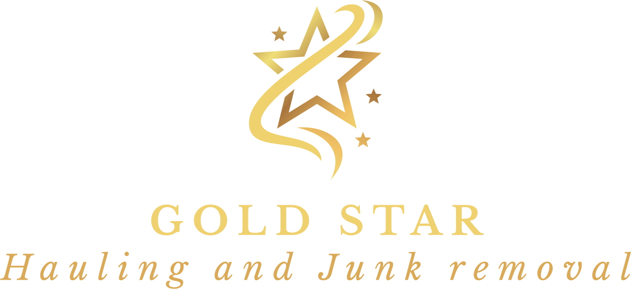 gold star's logo