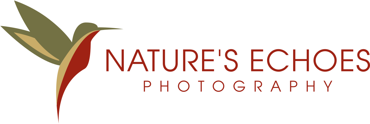Nature's Echoes's logo