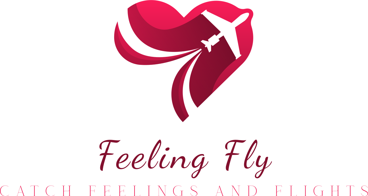 Feeling Fly's logo