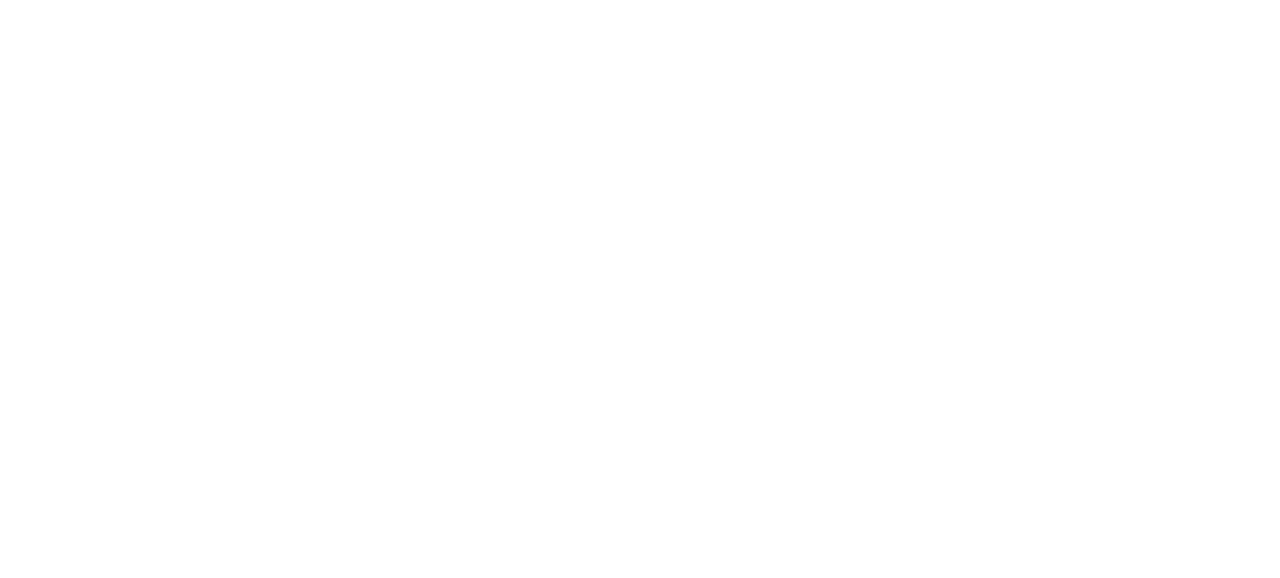 MICS Group llc's logo