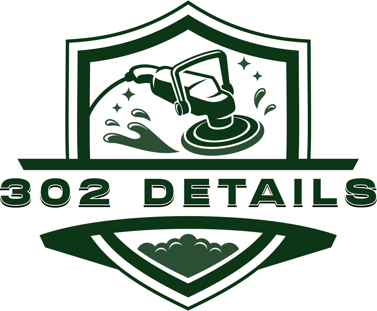 302 details's logo