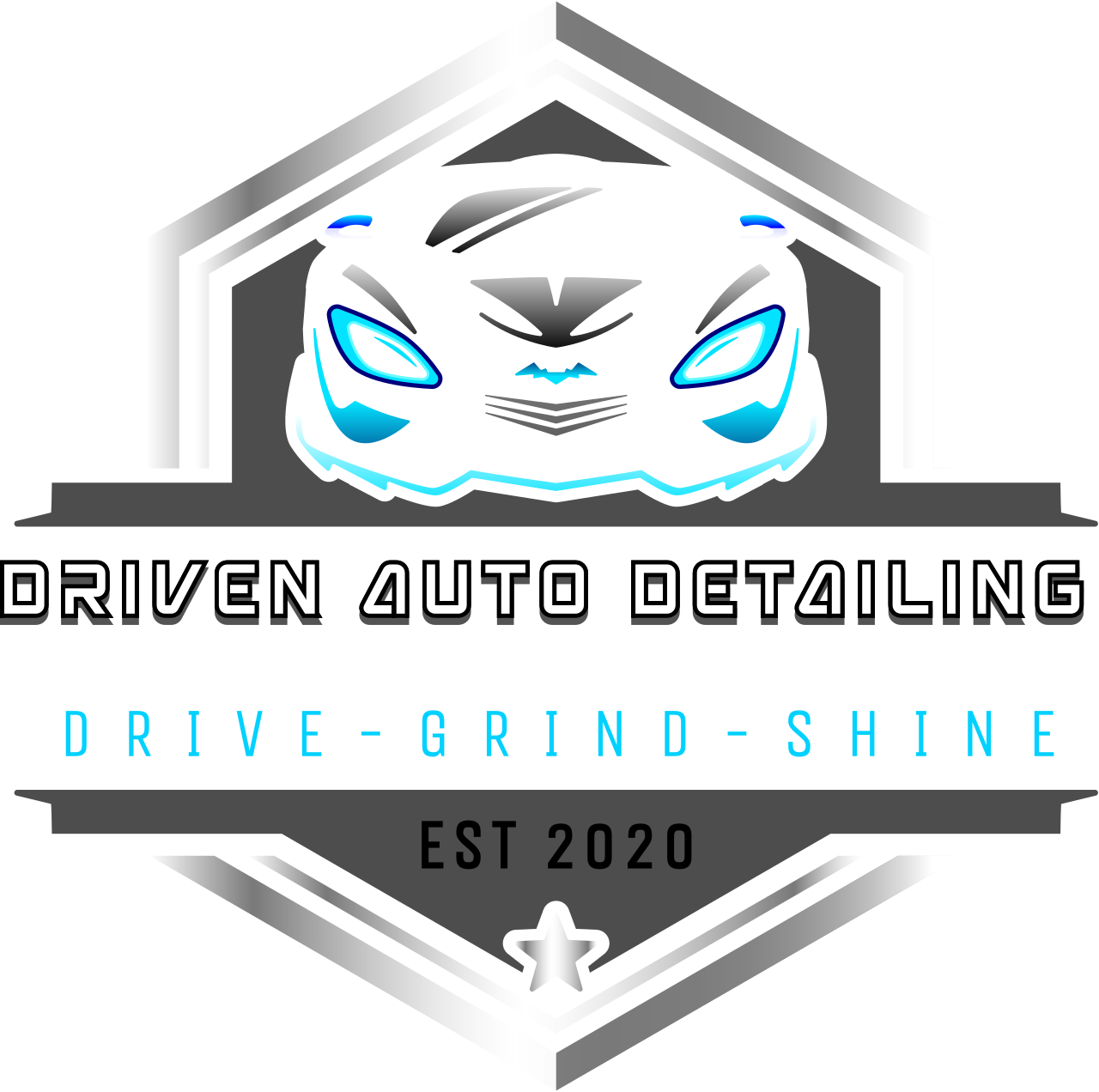 Driven Auto detailing 's logo