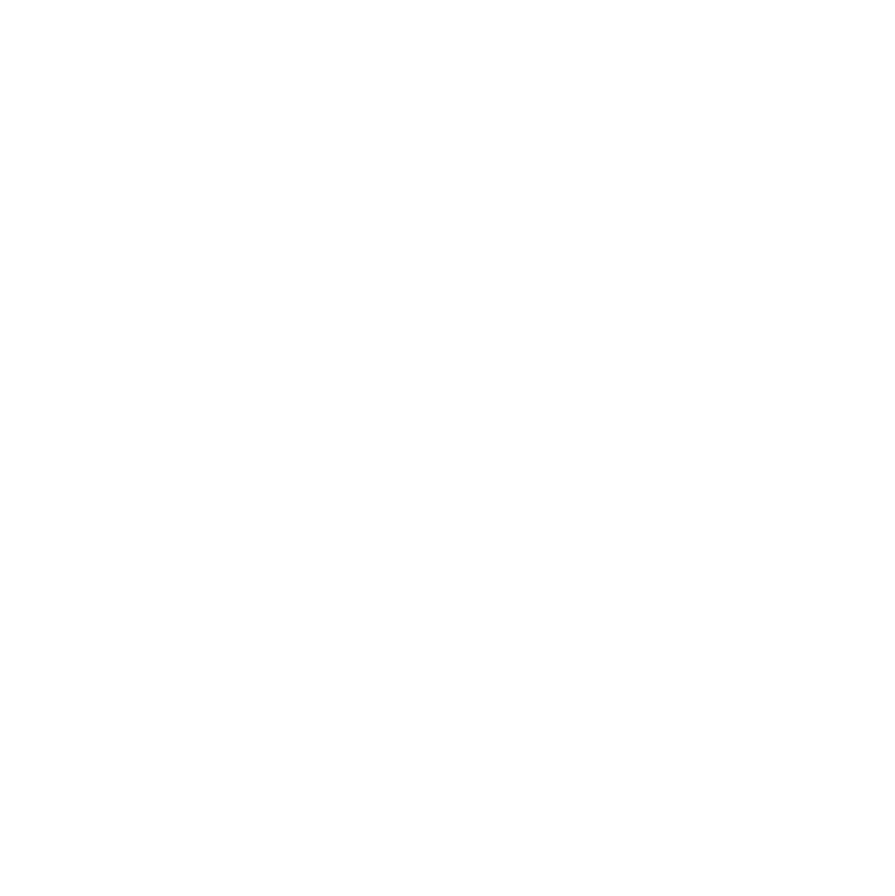 cooperative   safety   services   's logo