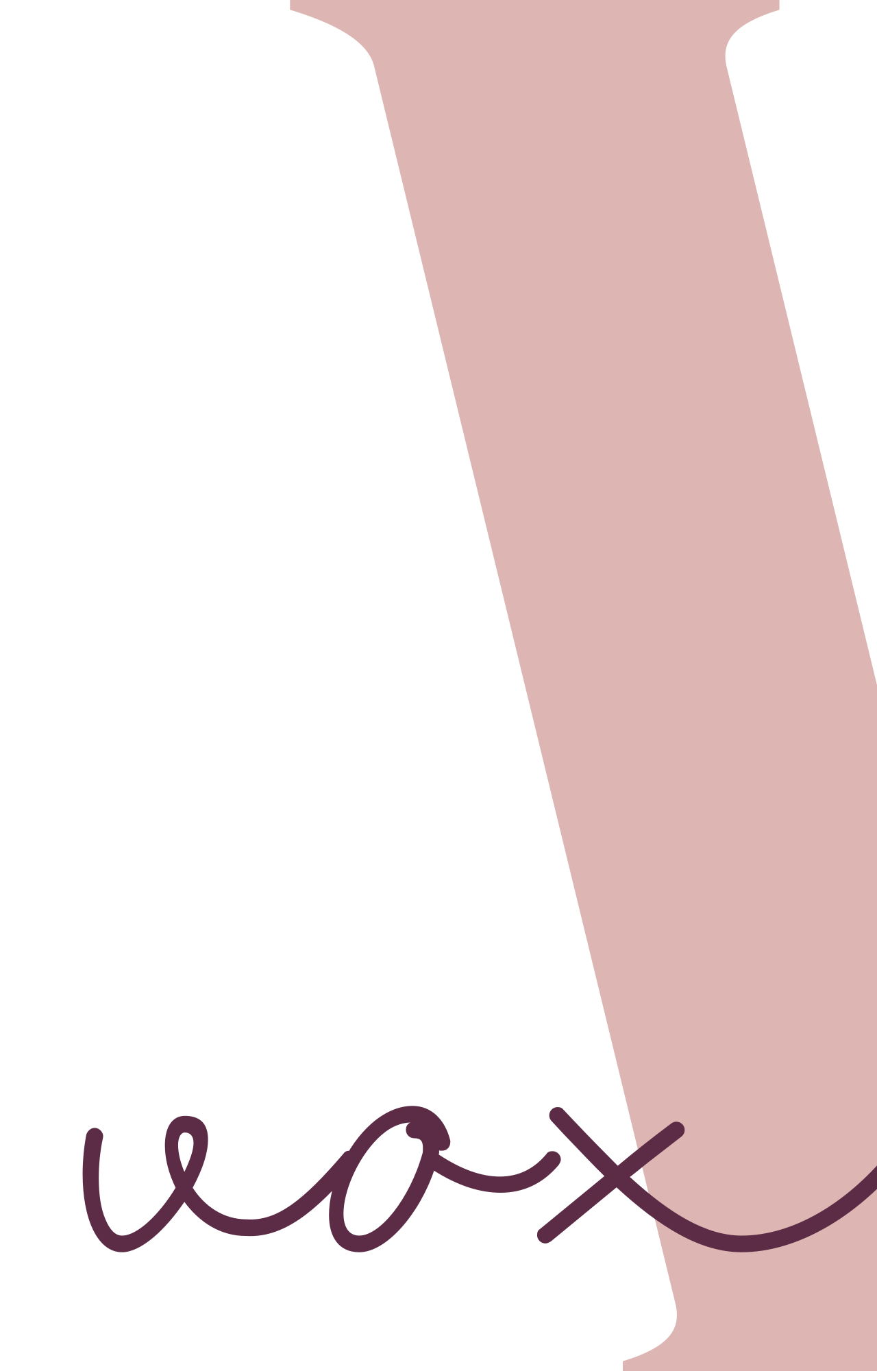 voxxe's logo