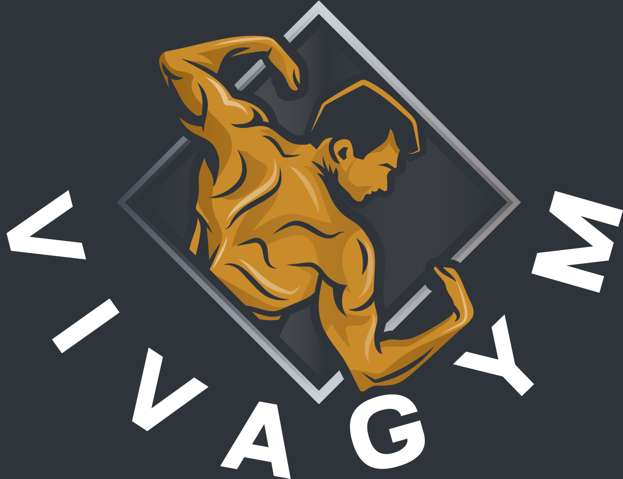 VivaGym's logo