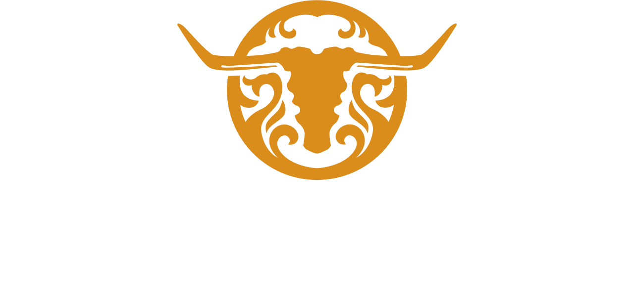 Wayne's LoneStar Services's logo