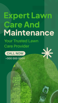 Expert Lawn Maintenance YouTube Short