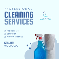 Professional Cleaning Services Instagram Post