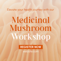 Minimal Medicinal Mushroom Workshop Linkedin Post