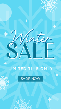 Winter Shopping  Sale Video