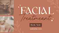 Beauty Facial Spa Treatment Video