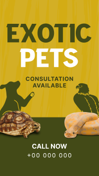 Exotic Vet Consultation Facebook Story