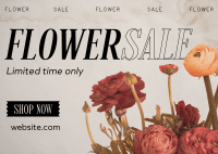 Flower Boutique  Sale Postcard