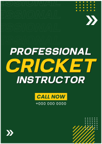 Let's Play Cricket Poster