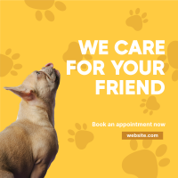 We Care Veterinary Instagram Post Image Preview