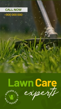 Lawn Care Experts YouTube Short