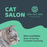 Cat Salon Packages Instagram Post