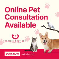 Online Vet Consultation Instagram Post Image Preview