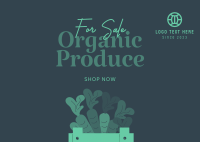 Organic Produce For Sale Postcard