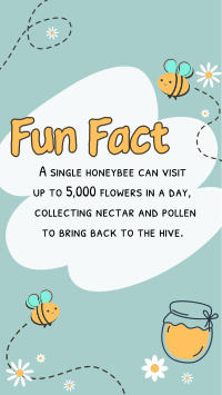 Bee Day Fun Fact Instagram Reel Image Preview