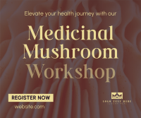 Minimal Medicinal Mushroom Workshop Facebook Post