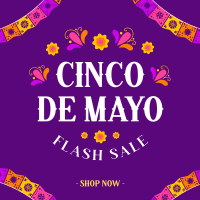 Fiesta Flash Sale Instagram Post