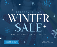 Special Winter Promo Facebook Post