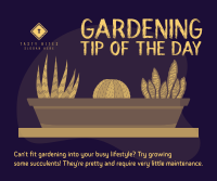 Gardening Tips Facebook Post