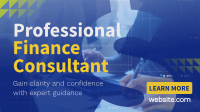 Professional Finance Consultant Video