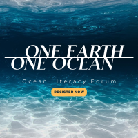 One Ocean Instagram Post Image Preview