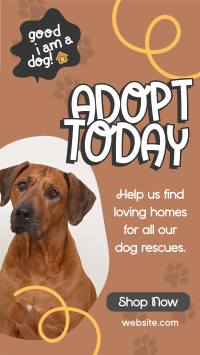 Dog Adoption Video