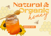 Delicious Organic Pure Honey Postcard