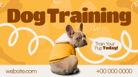 Quirky Dog Training Animation